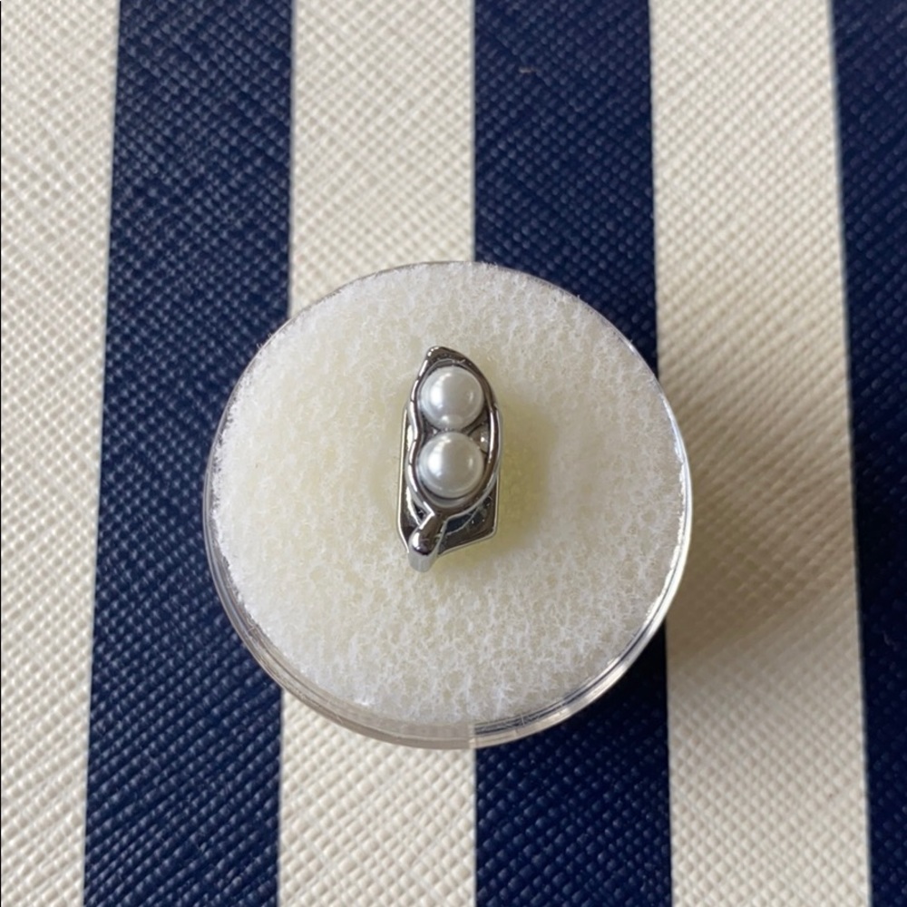 NWT Keep Collective Silver 2 Peas in A Pod Charm